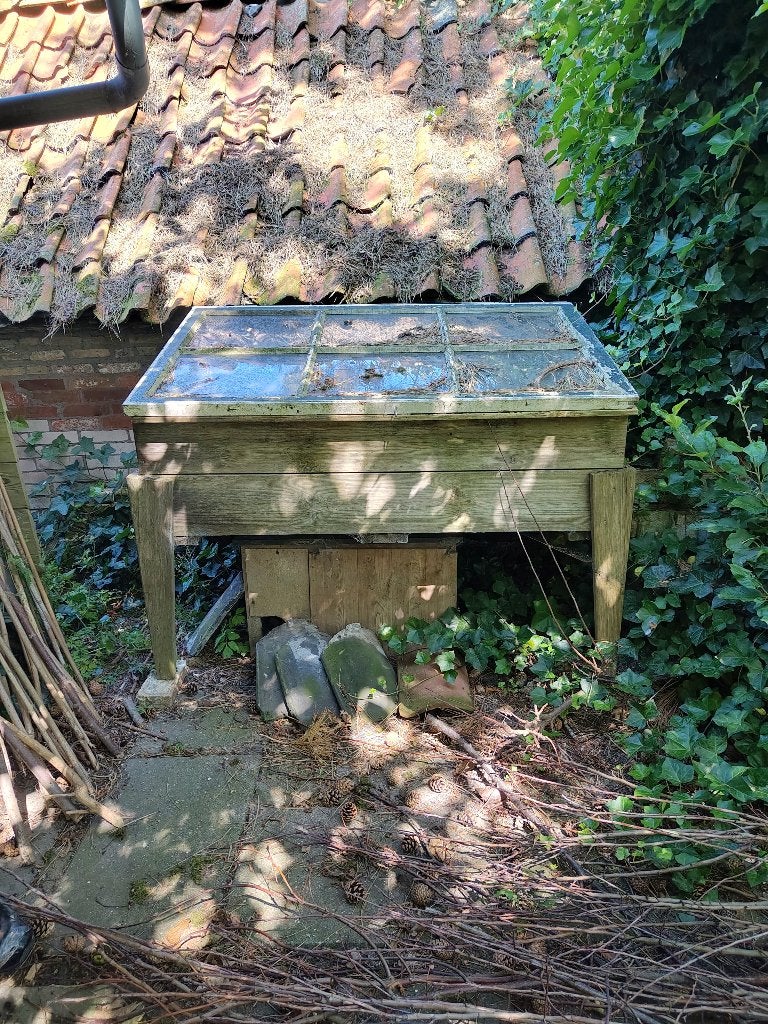 Houten Kweekkast met glas afsluiting!, Tuin en Terras, Ophalen, Overige materialen, Gebruikt, Kweekkas