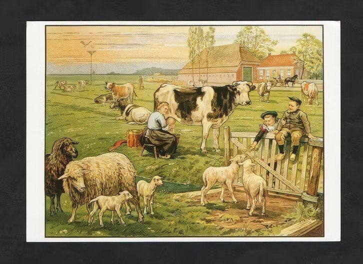 Ansichtkaart Schoolplaat In de Weide Koeien Schapen, Jetses., Verzamelen, Ophalen of Verzenden, 1980 tot heden, Ongelopen, Politiek en Historie