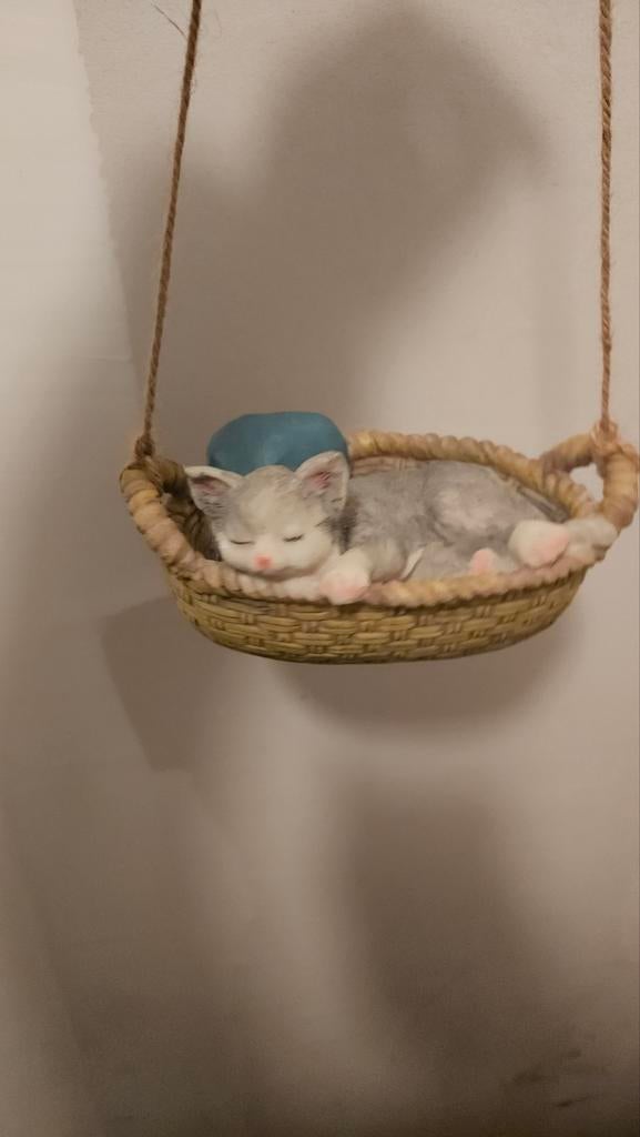 Kleine kat in mandje, Ophalen of Verzenden