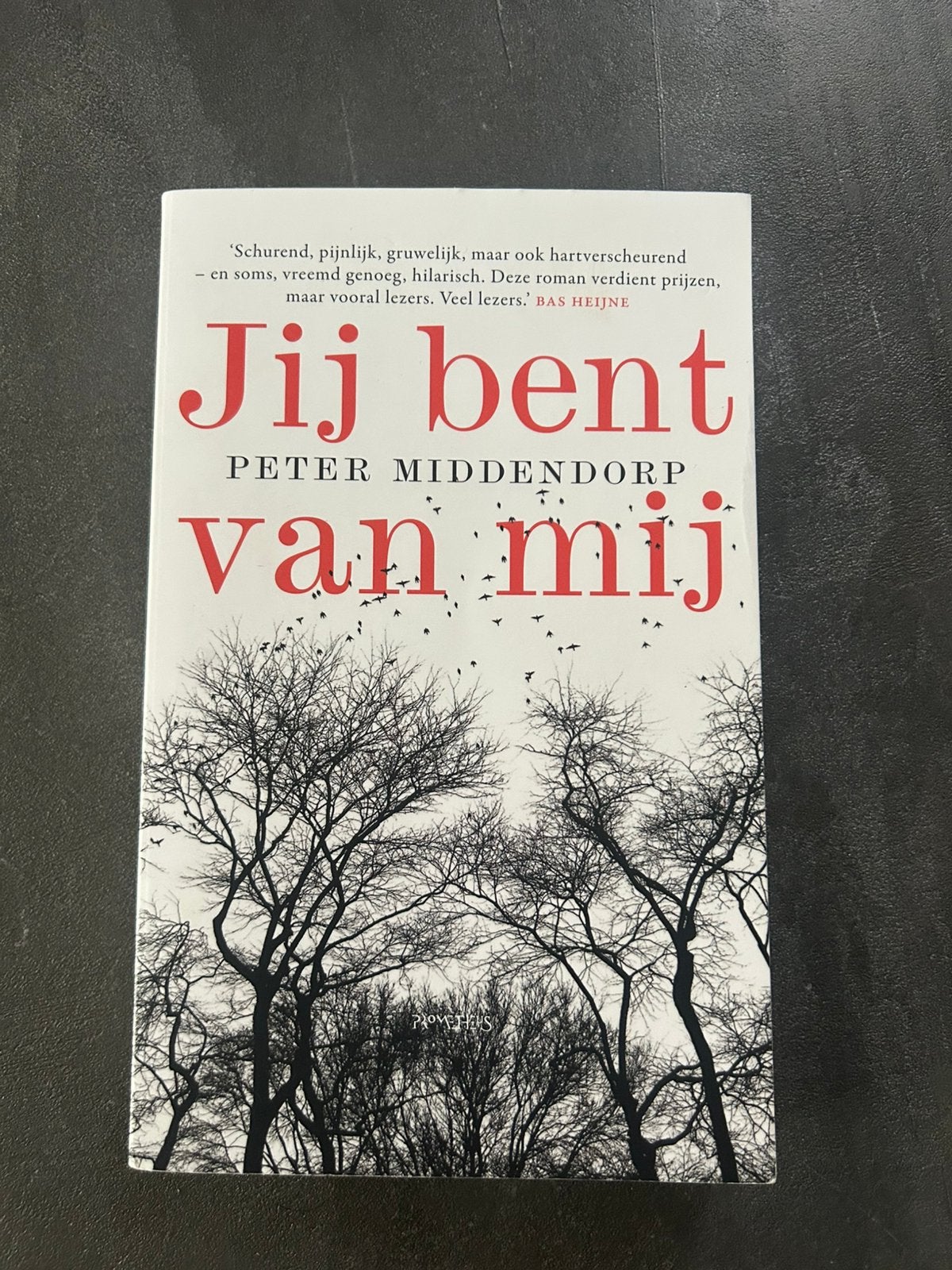 Jij bent van mij  ( Marianne Vaatstra ), Ophalen of Verzenden, Zo goed als nieuw