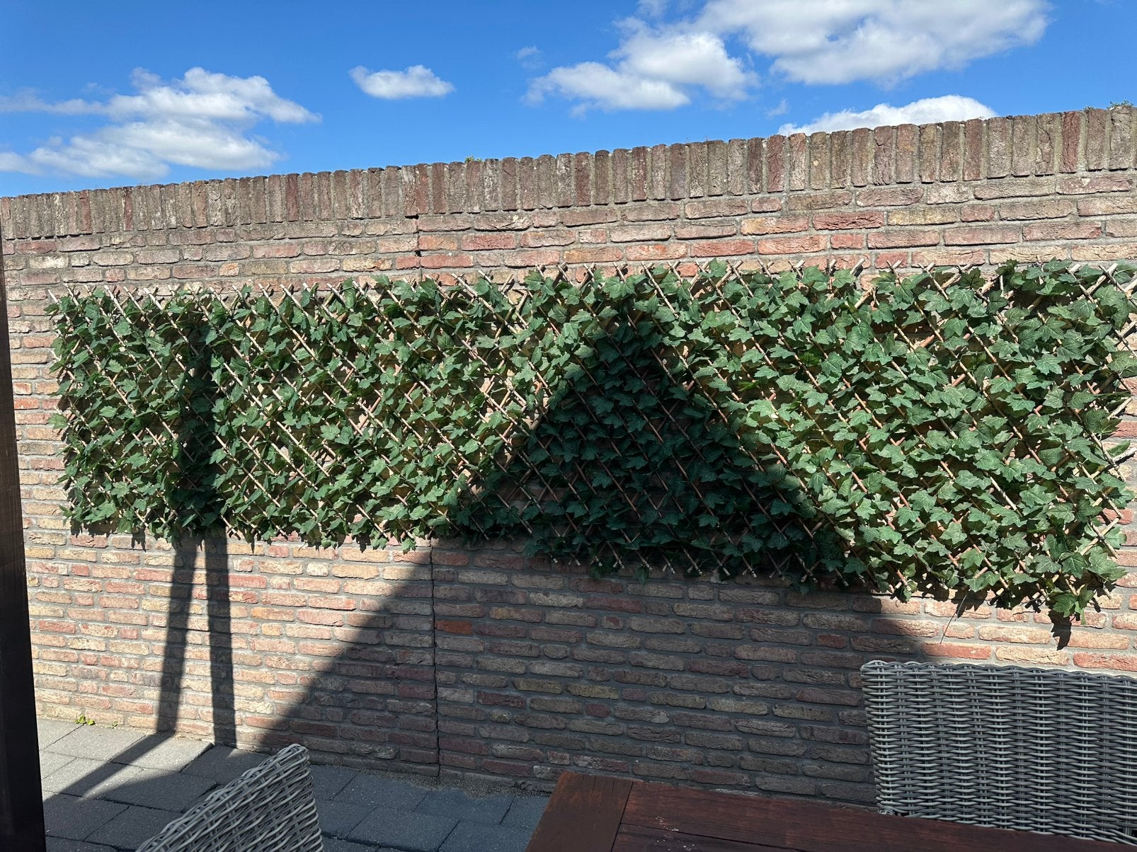 Klimop kunst, Ophalen, 1 tot 2 meter, Minder dan 3 meter, Zo goed als nieuw