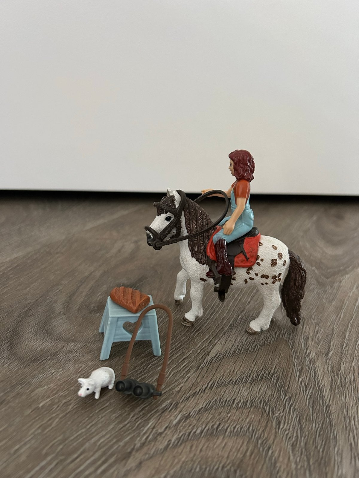 Schleich Horse Club 42518 - Paardrijles met Lisa, Ophalen of Verzenden, Gebruikt