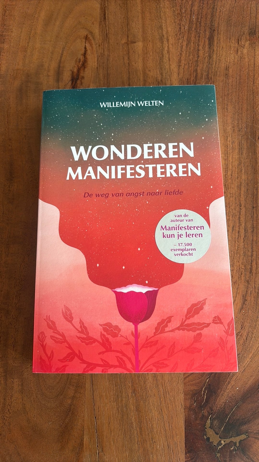 Willemijn Welten - Wonderen manifesteren, Ophalen of Verzenden, Zo goed als nieuw, Willemijn Welten