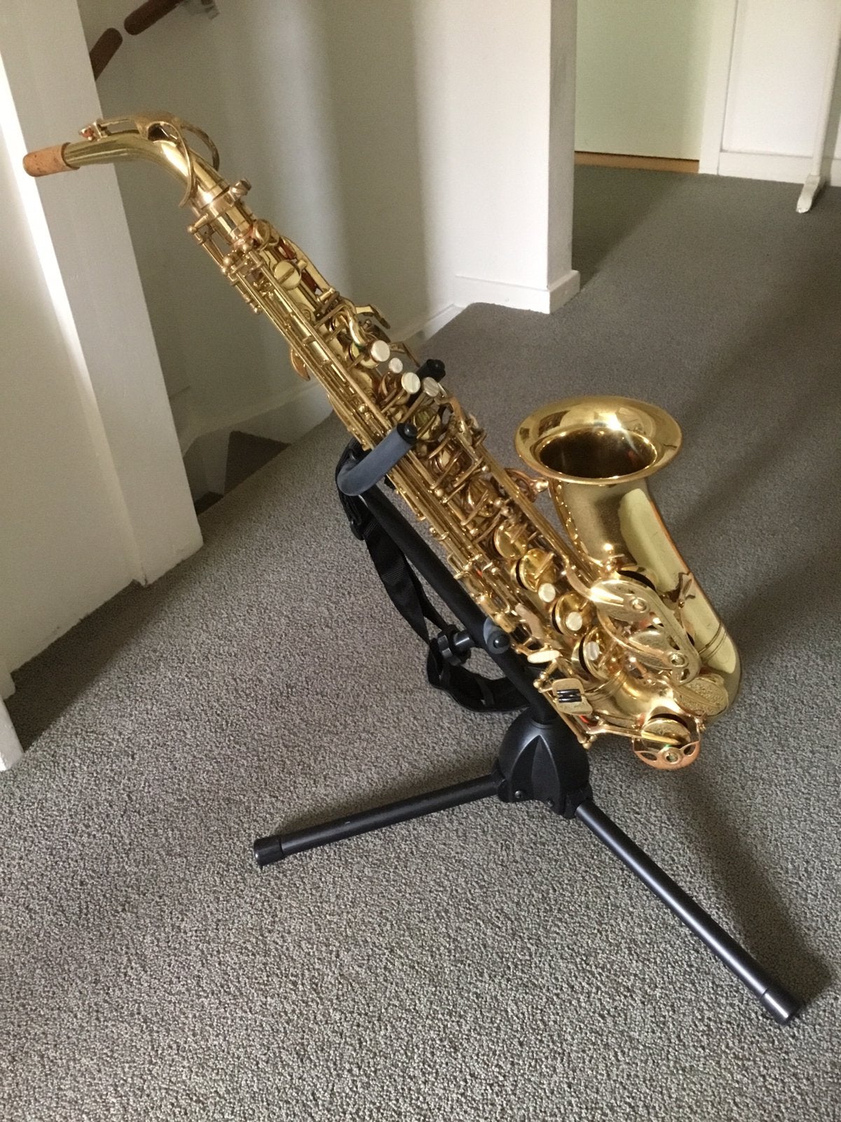 Gebruikte altsaxofoon incl. koffer en standaard, Muziek en Instrumenten, Blaasinstrumenten | Saxofoons, Ophalen, Gebruikt, Alt