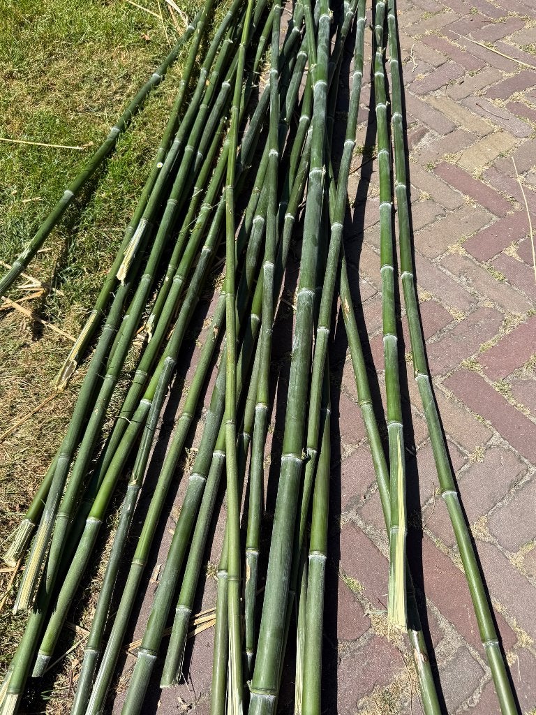 Bamboe stokken, Ophalen, Nieuw, Overige typen
