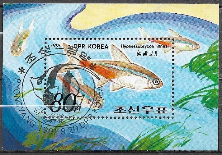 NRD-KOREA Blok Postz.Tent.st. PHILANIPPON'91-Neon Tetra 1991, Verzenden, Gestempeld, Oost-Azië