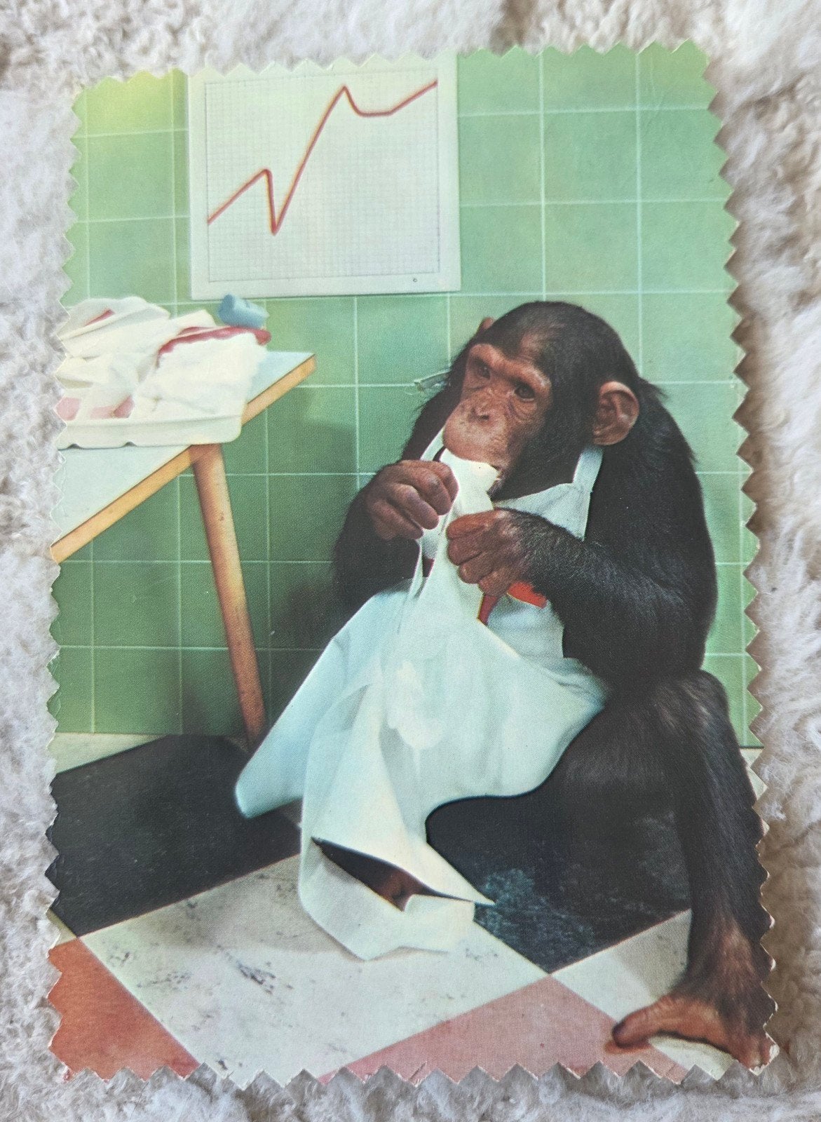 Chimpansee aan het werk, Ophalen of Verzenden, 1960 tot 1980, Gelopen, Kinderen