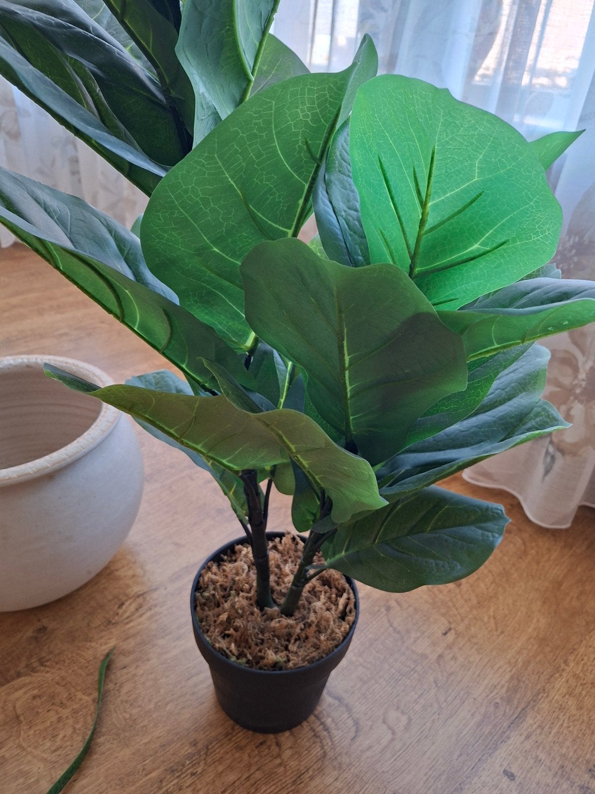 Kunstplant Ficus Lyrata (Vioolbladplant) ., Ophalen, Ficus, Halfschaduw, Minder dan 100 cm