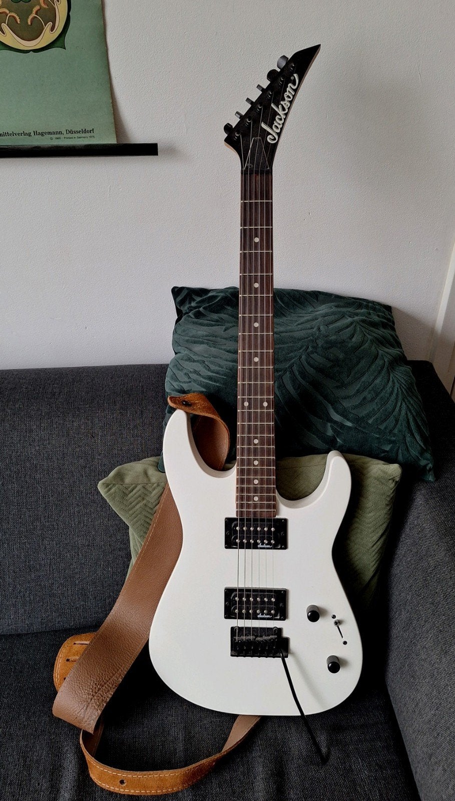 Jackson elektrische gitaar, Ophalen, Zo goed als nieuw, Solid body, Overige merken