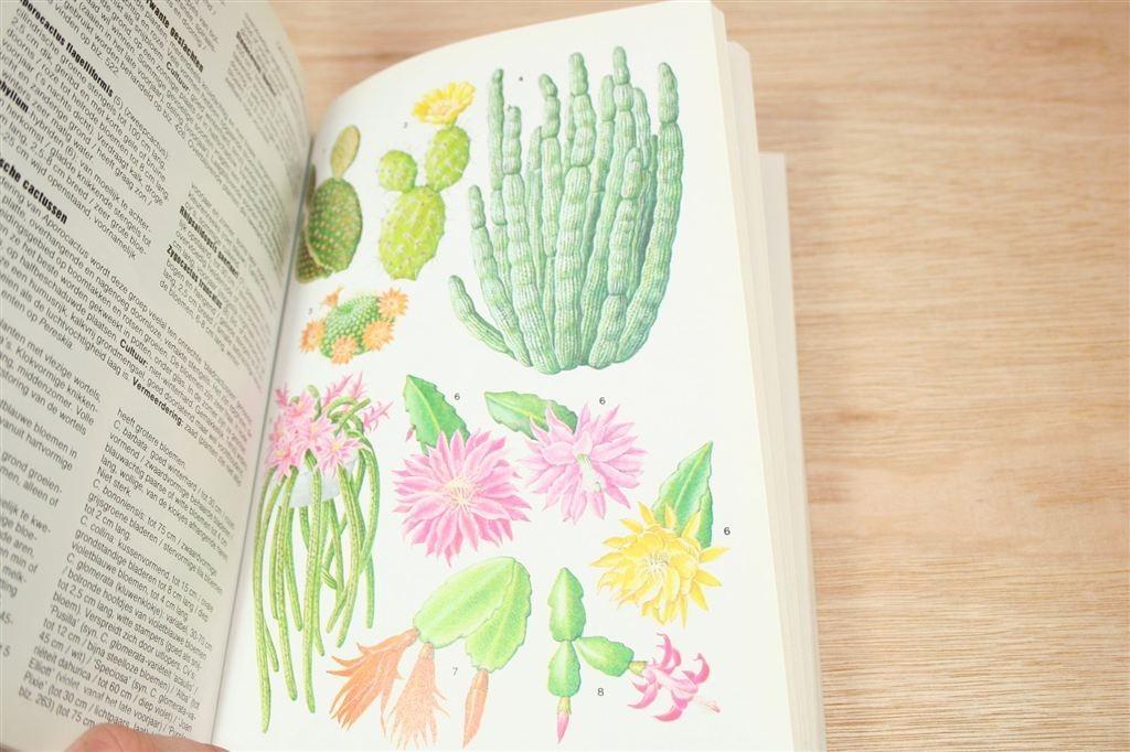 Complete Tuinplanten Lexicon — Spectrum Natuurgids, Boeken, Ophalen of Verzenden, Gelezen, Interieur en Design