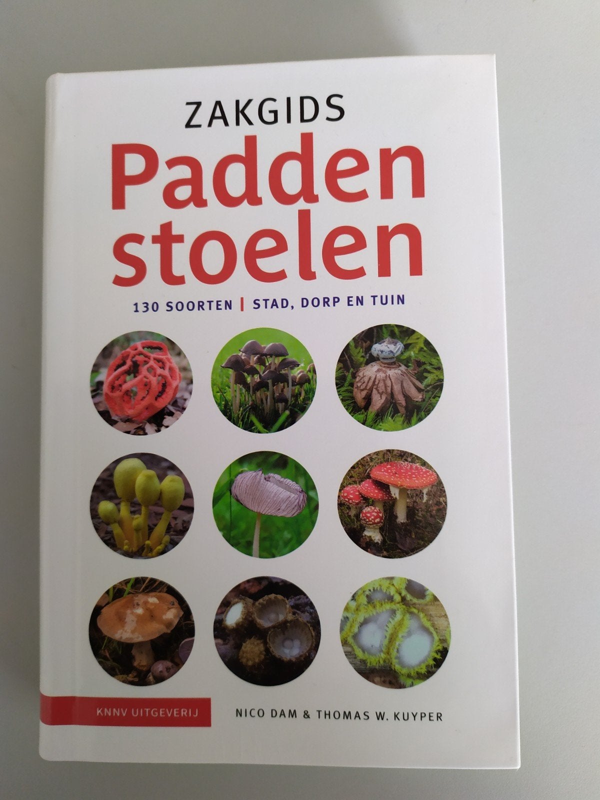 Zakgids Paddenstoelen KNNV, Dam/Kuyper, nieuw, Boeken, Ophalen of Verzenden, Nieuw