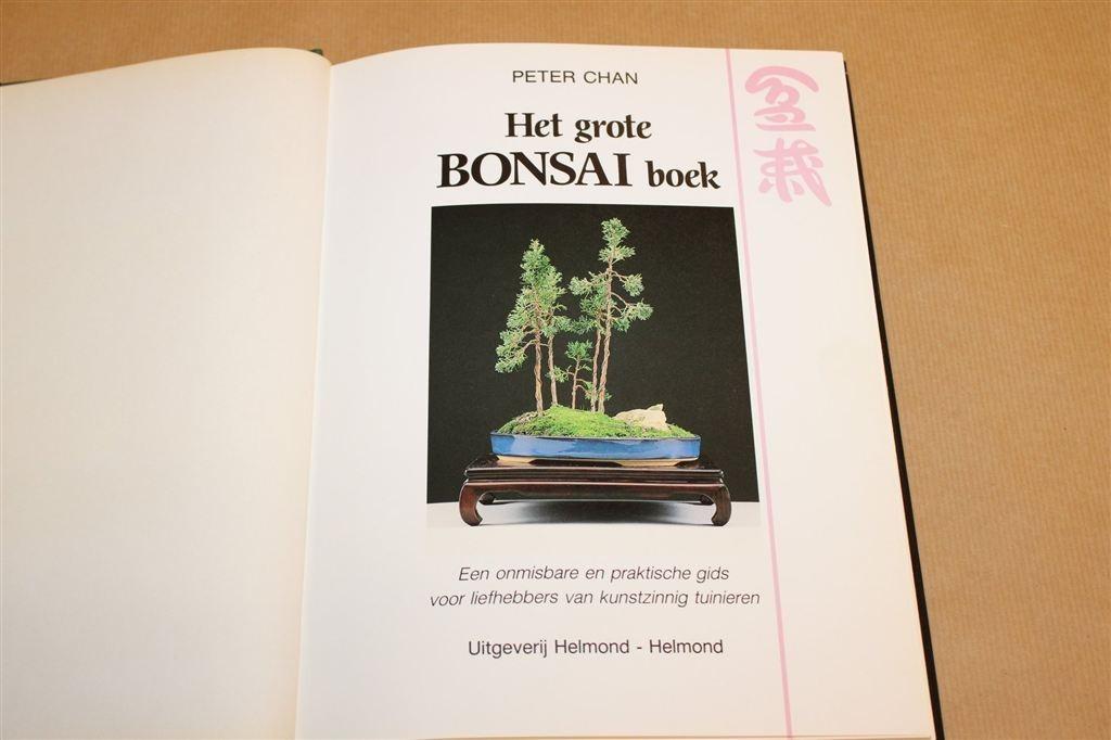 Het Grote Bonsai Boek — Praktische Gids Voor Kunsttuinieren, Ophalen of Verzenden, Gelezen