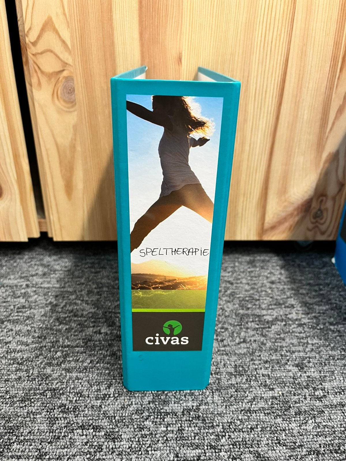 Complete cursus speltherapie civas, Boeken, Studieboeken en Cursussen, Ophalen of Verzenden, Alpha, Gelezen