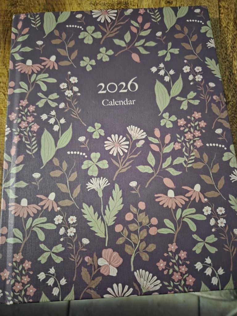 Agenda 2026, Ophalen of Verzenden, Nieuw