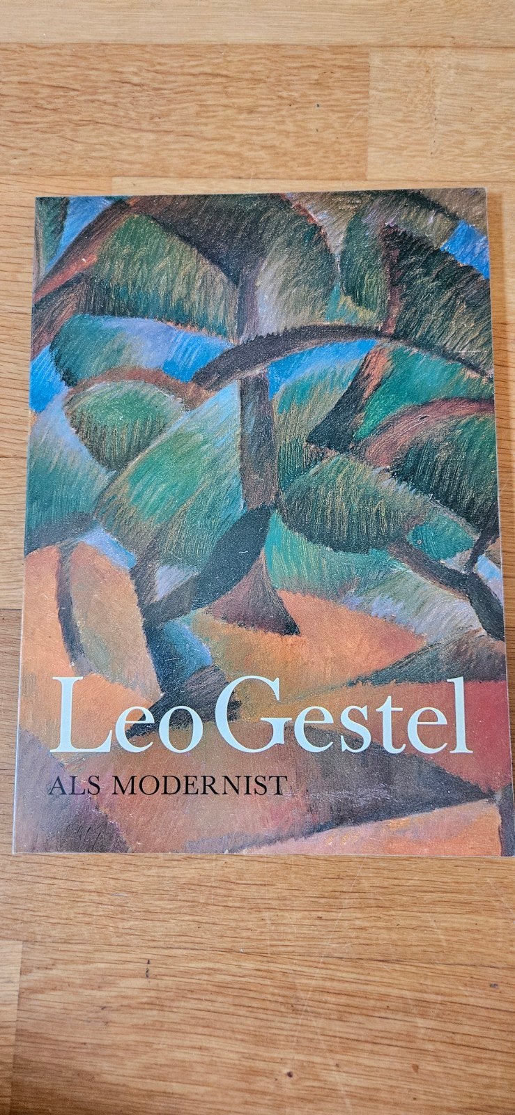 Leo Gestel als Modernist - Kunstboek, Boeken, Ophalen of Verzenden, Zo goed als nieuw, Schilder- en Tekenkunst, Leo Gestel