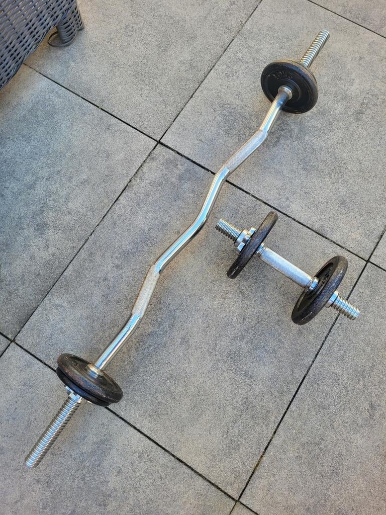 Halterset met losse gewichtschijven en dumbell, Ophalen, Gebruikt, Rug, Halterset