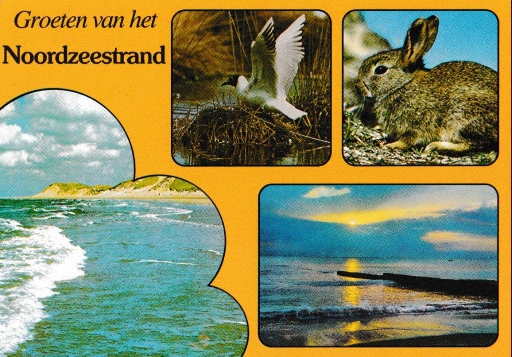 Noordzeestrand           449, Ophalen of Verzenden, Voor 1920
