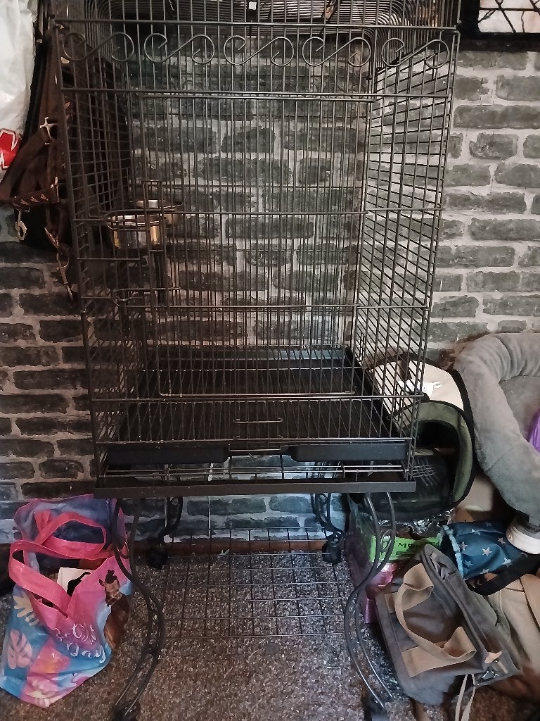 vogelhok dwergpapagaai concure grote parkiet, Dieren en Toebehoren, Ophalen, Gebruikt, Metaal, Vogelkooi