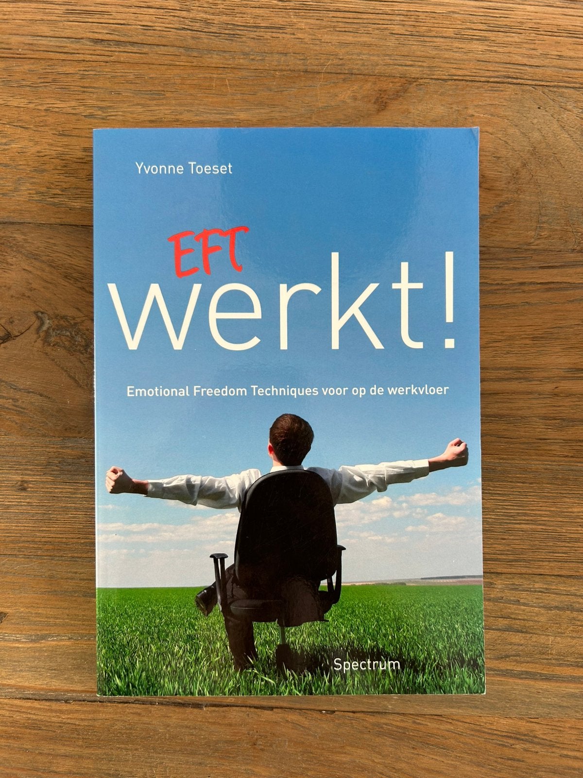 Yvonne Toeset - EFT werkt!, Boeken, Ophalen of Verzenden, Zo goed als nieuw, Yvonne Toeset