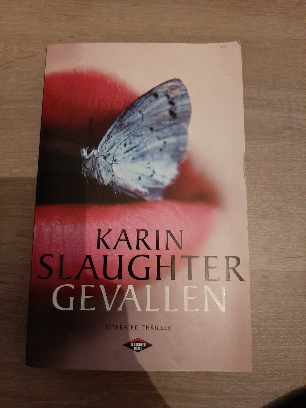Karin Slaughter - Gevallen (Literaire Thriller), Ophalen of Verzenden, Gelezen, Karin Slaughter