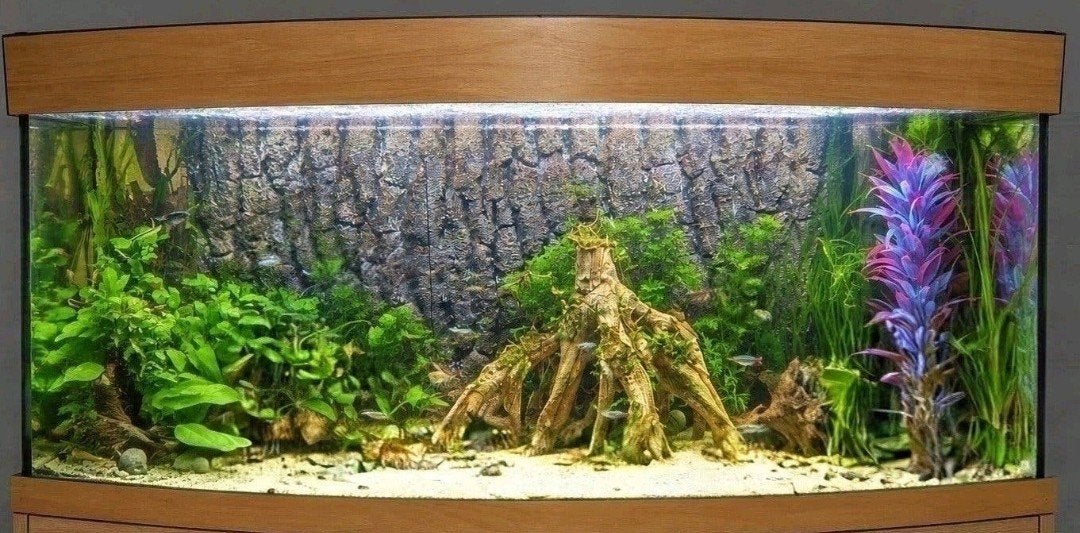 Juwel Vision 180 liter , 1 meter breed, Ophalen of Verzenden, Filter