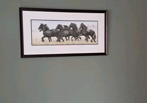 .Heel. Moi je.wiebe van der zee schilderij, Ophalen