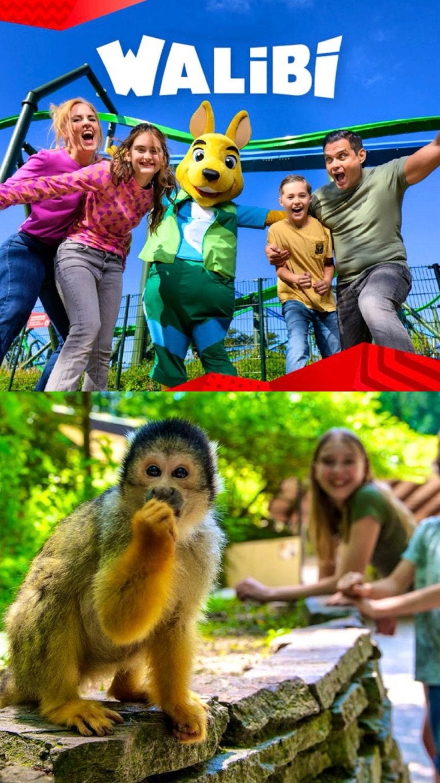 2 tickets Walibi + 2 tickets Apenheul te koop, Tickets en Kaartjes, Twee personen, Overige soorten, Pretpark
