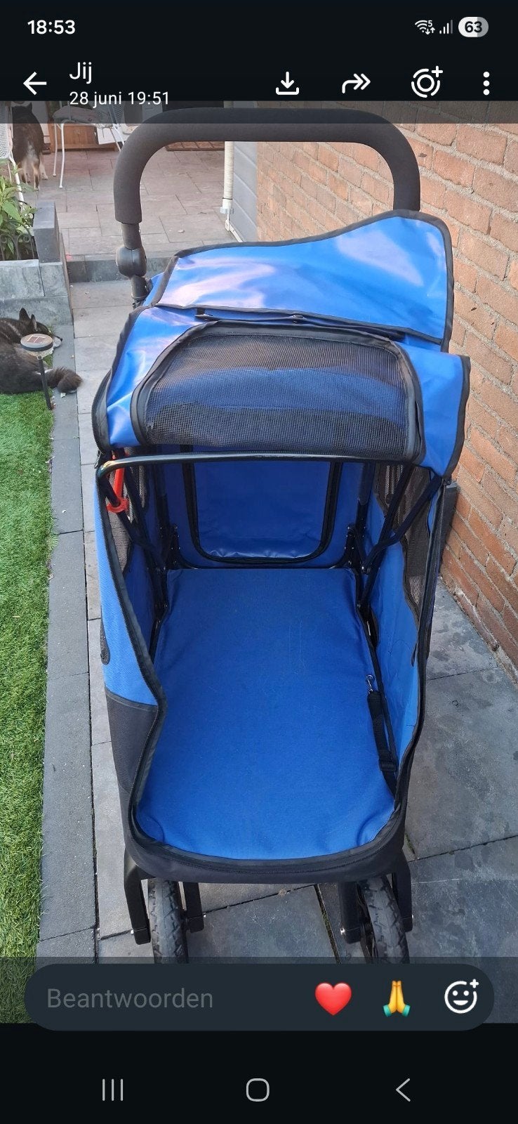 honden buggy, Dieren en Toebehoren, Ophalen, Zo goed als nieuw, Hondenbuggy