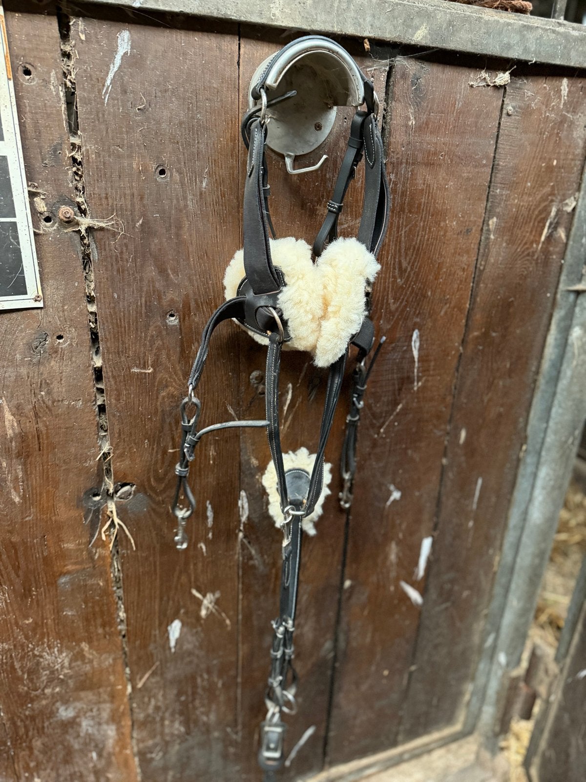 5 punts martingaal pony, Ophalen of Verzenden, Zo goed als nieuw, Springen