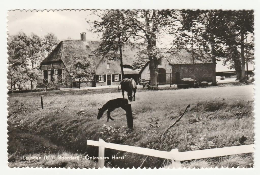 Leusden - Boerderij Ooievaars Horst, Ophalen of Verzenden, 1960 tot 1980, Ongelopen, Utrecht