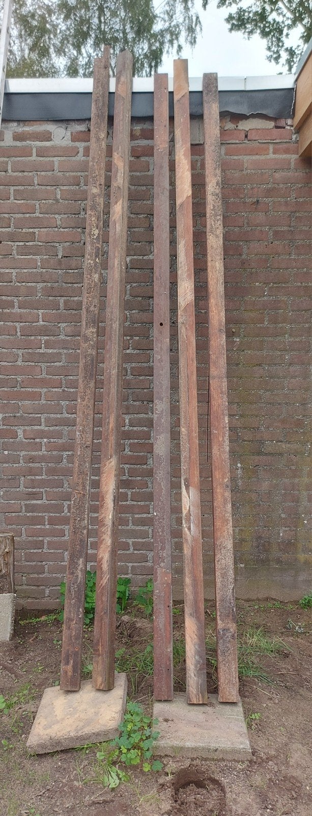 Gebruikte balkjes azobé, Ophalen, Gebruikt, 250 tot 300 cm, 50 mm of meer