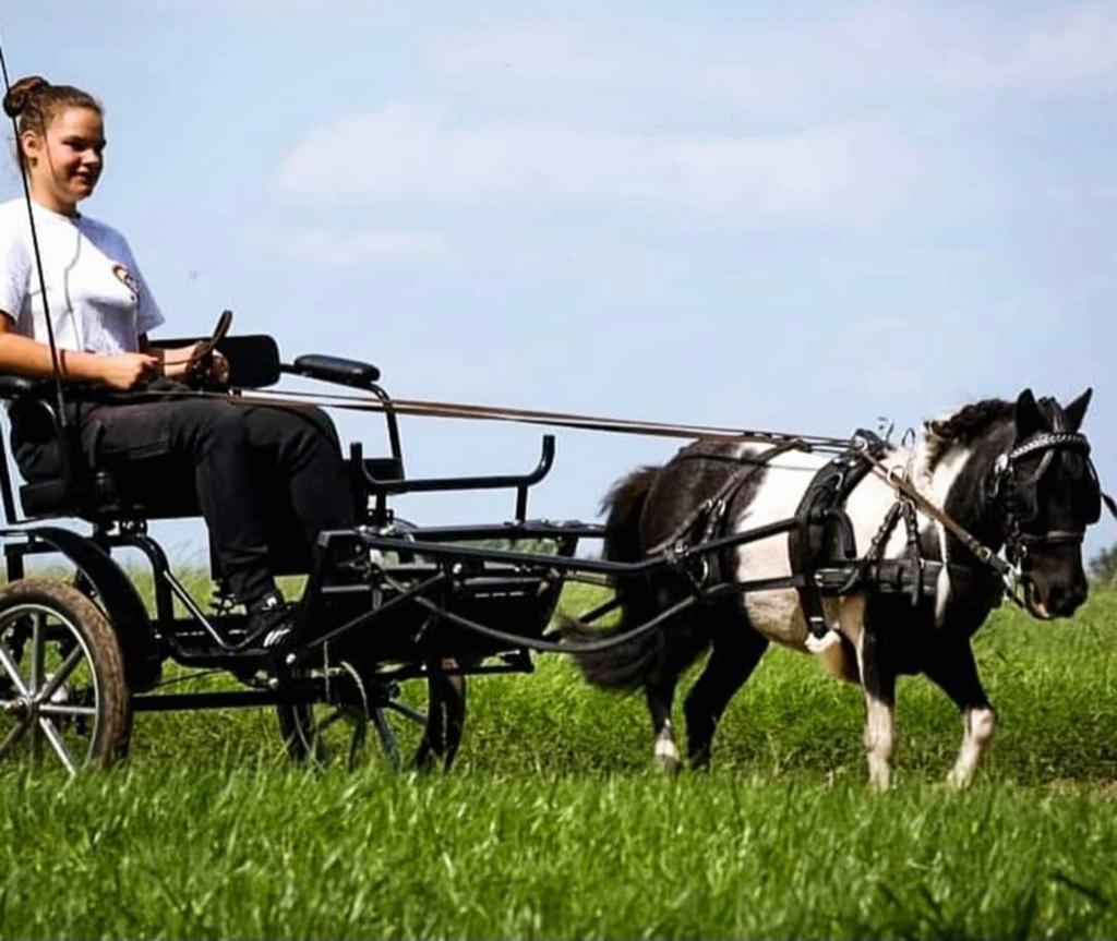 Sulky Cavalettie Sport Edition, Dieren en Toebehoren