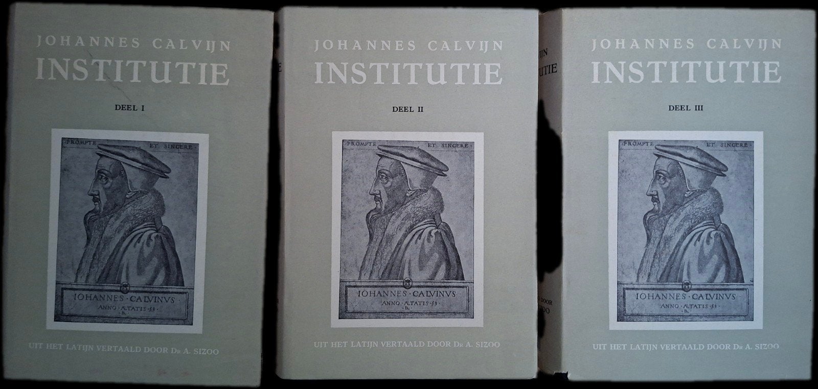 Johannes Calvijn - Institutie (3 delen), Ophalen of Verzenden, Gelezen, Johannes Calvijn, Christendom | Protestants
