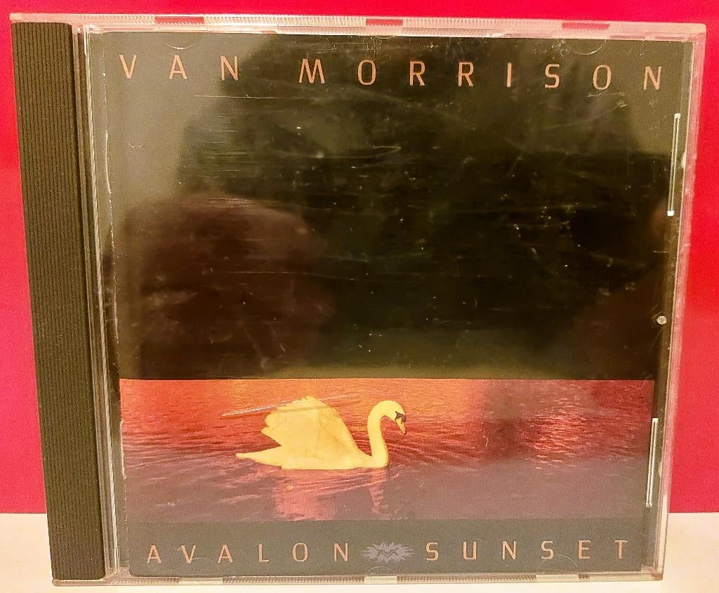 Van morrison, Ophalen of Verzenden, Gebruikt, Poprock