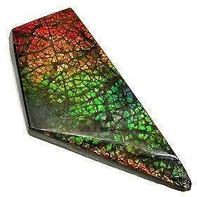 AAA - Natural drakenvel - Ammolite Fire Opaal, Ophalen of Verzenden, Mineraal