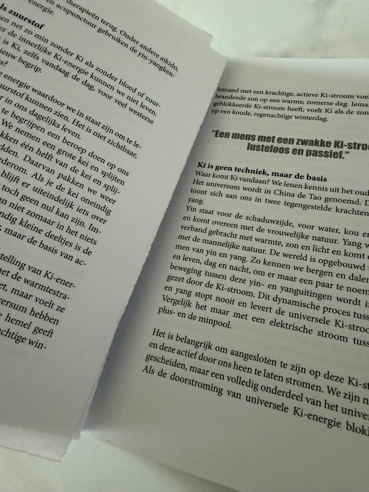 Ki Werkboek - Kracht van binnenuit - Hans Peter Roel, Boeken, Ophalen of Verzenden, Gelezen, Spiritualiteit algemeen, Instructieboek