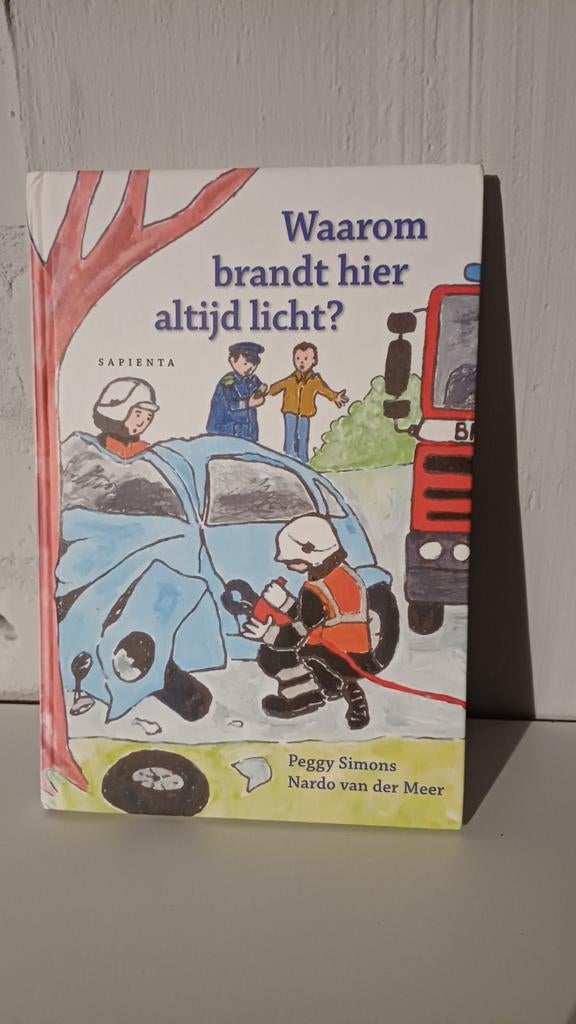 Paullina Simons - Waarom brandt hier altijd licht?, Non-fictie, Ophalen of Verzenden, Zo goed als nieuw, Paullina Simons; B. van der Meer