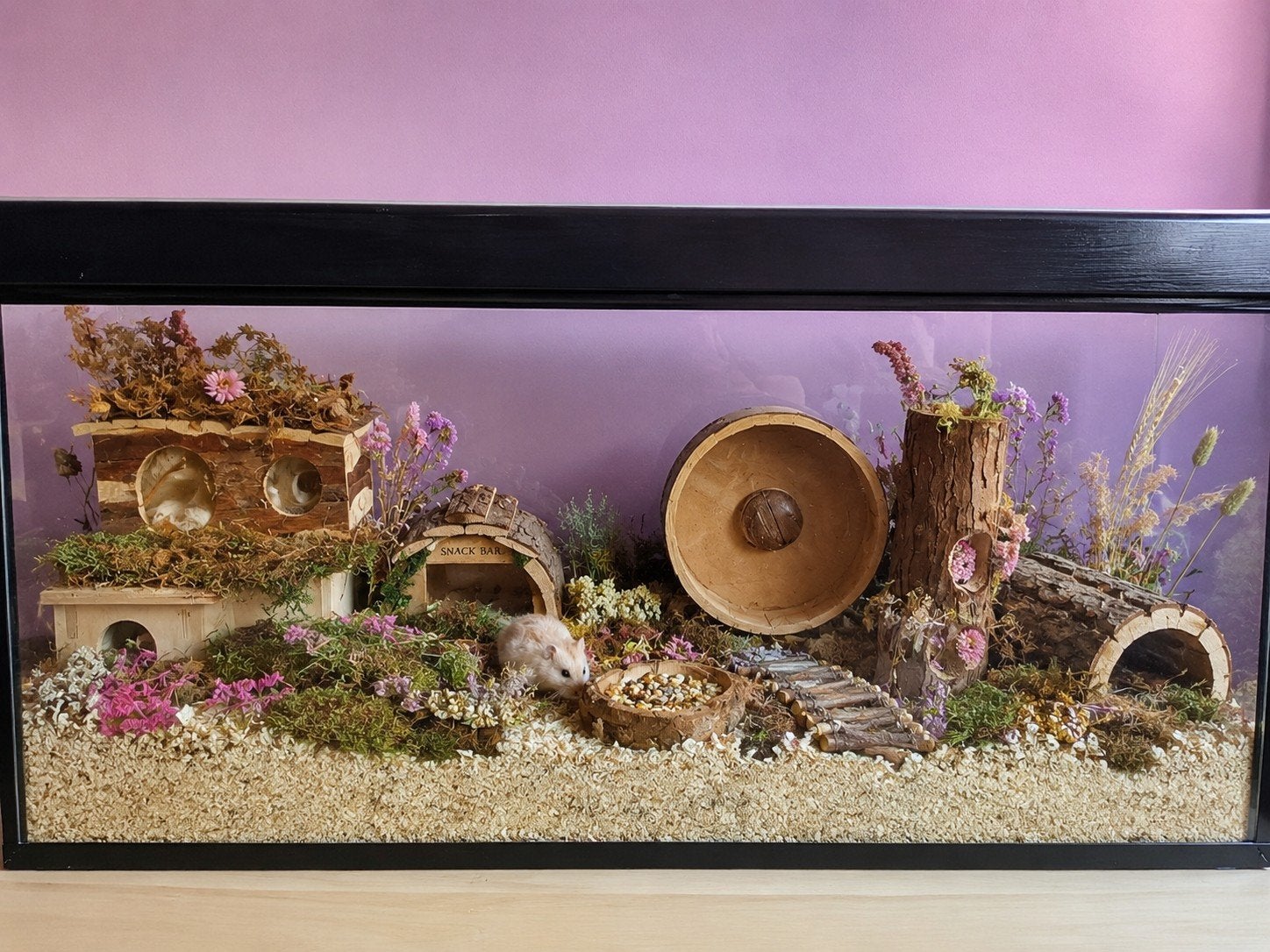 Hamster kooi terrarium landscaping, Kooi, 110 cm of meer, Hamster, Ophalen