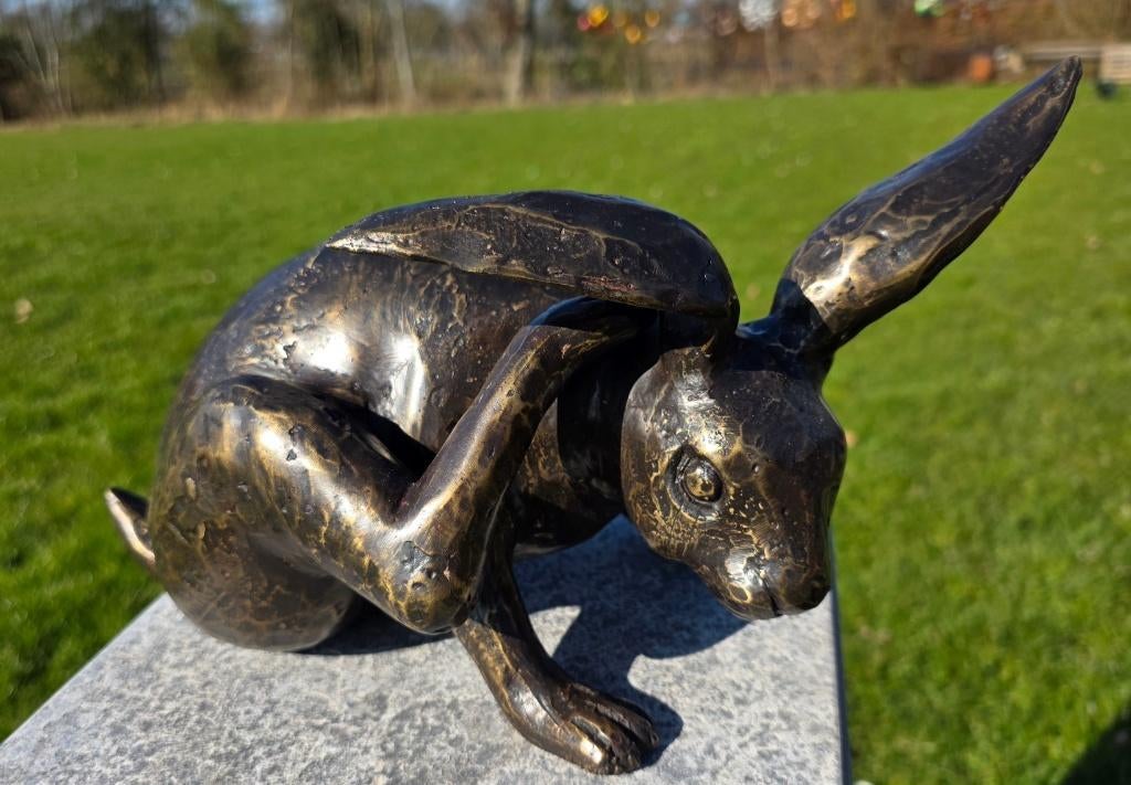 HAAS KRABT AAN OOR / bronzen beeld, Dierenbeeld, Nieuw, Info@huisentuindecoratiemarie.nl, Huis en tuin decoratie marie