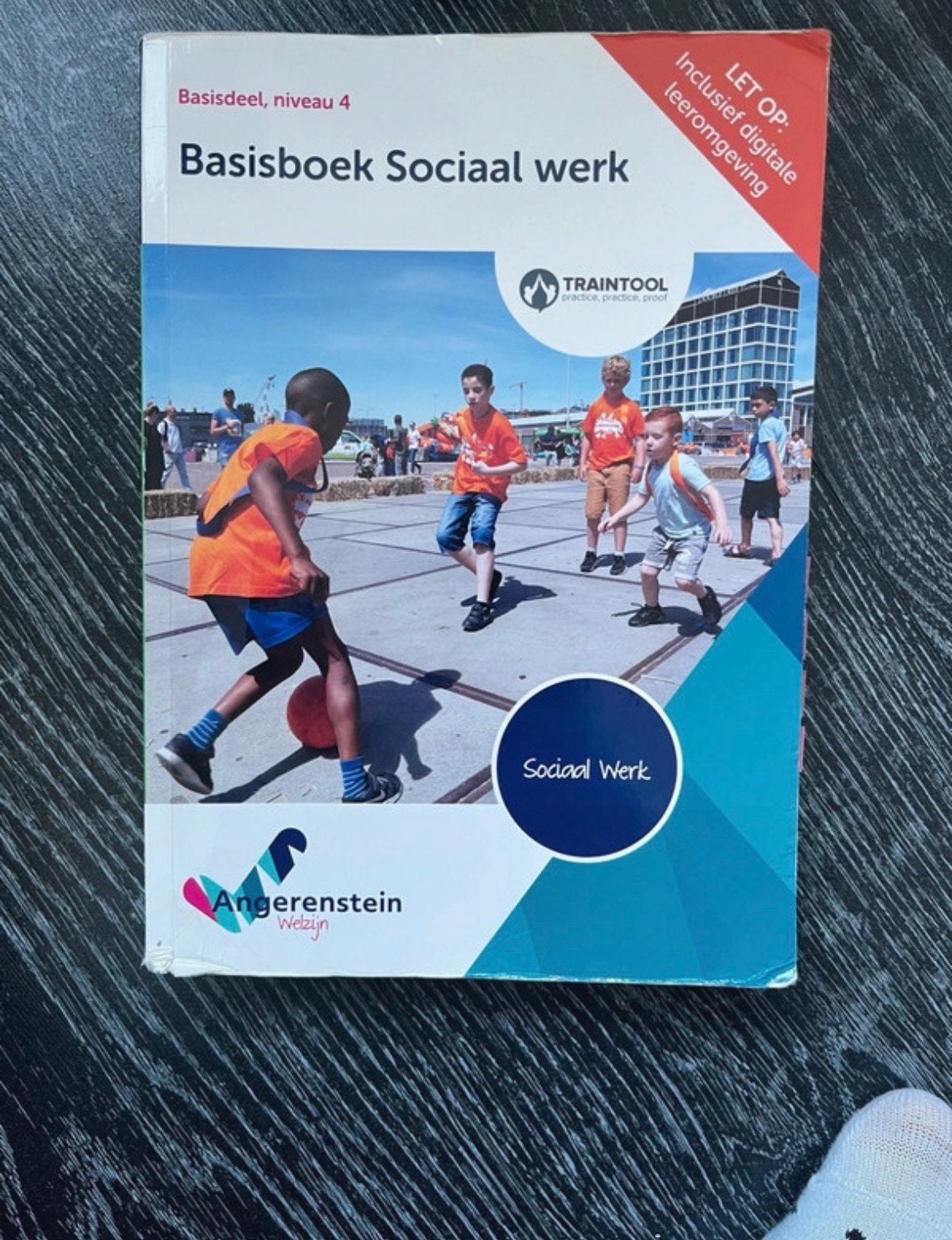 Basisboek Sociaal werk - Basisdeel, niveau 4, Boeken, Studieboeken en Cursussen, Ophalen of Verzenden, Gamma, Gelezen, MBO
