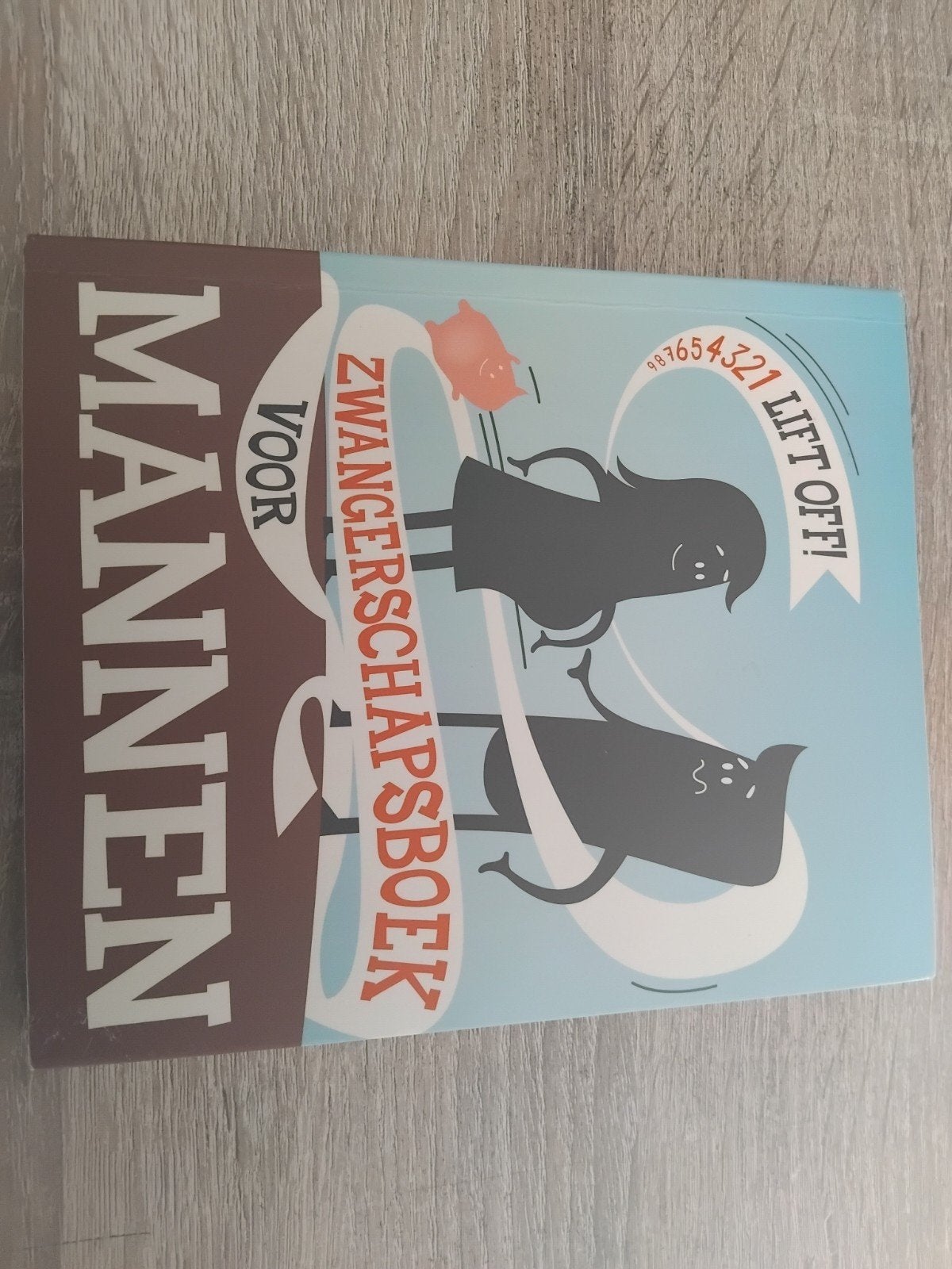 Zwangerschapsboek voor Mannen - Humoristische Gids, Ophalen of Verzenden, Zo goed als nieuw, Zwangerschap en Bevalling, Onbekend