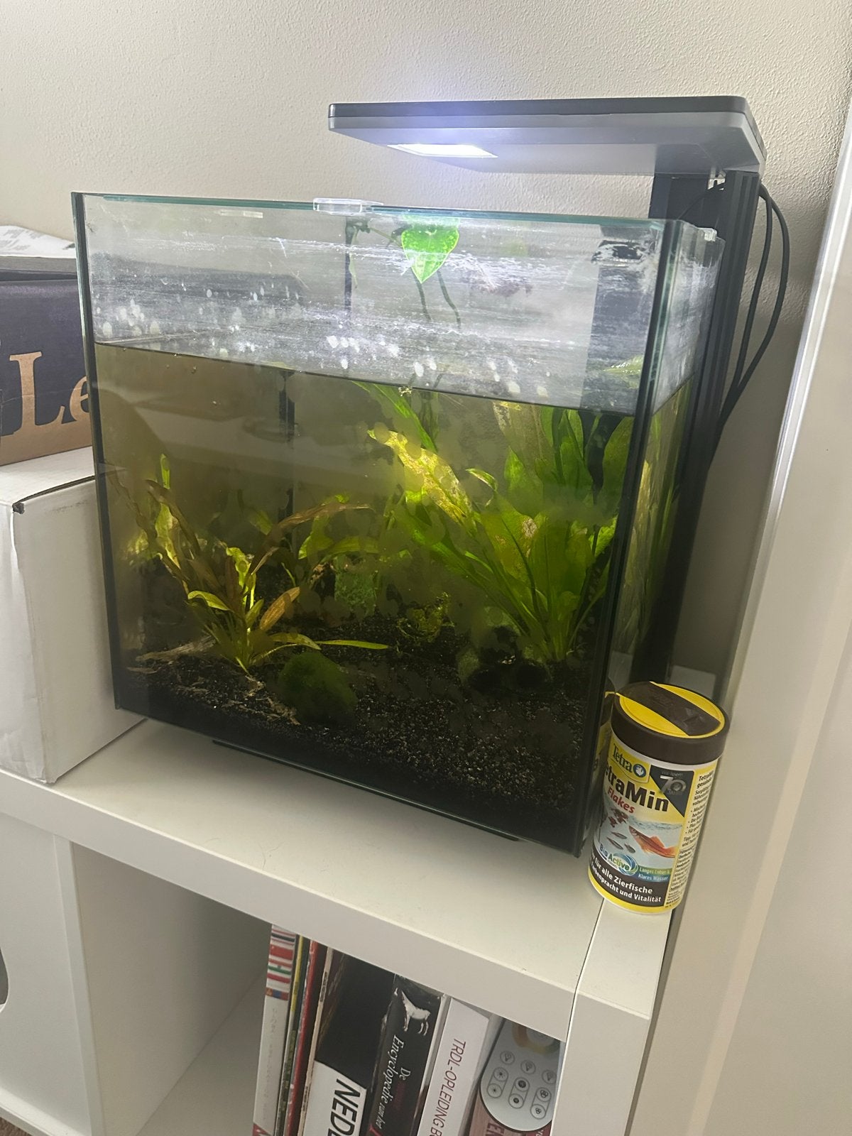 Superfish Qubic 30 Aquarium, Ophalen, Verwarming, Leeg aquarium, Superfish