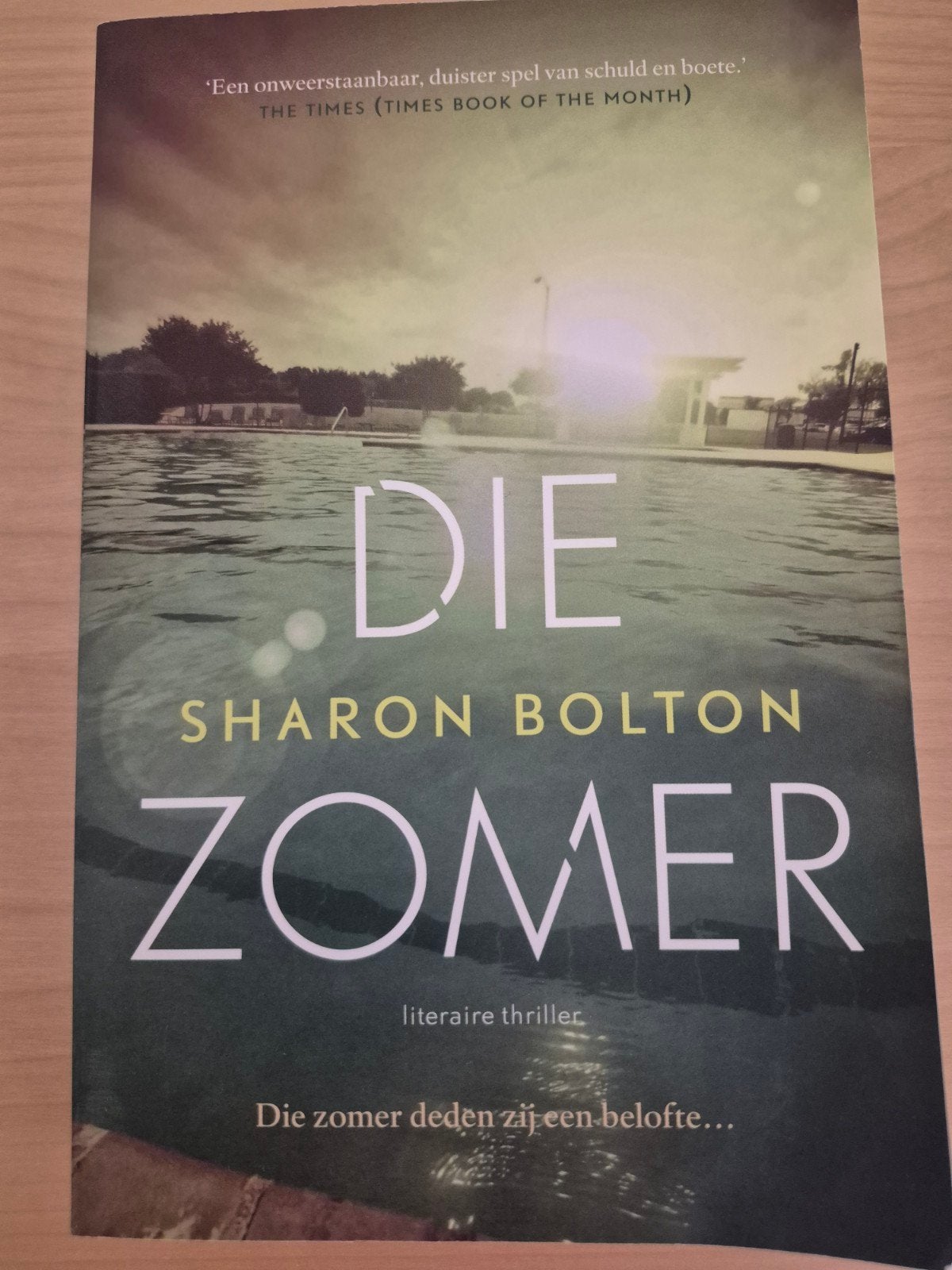 Die Zomer - Sharon Bolton (literaire thriller), Boeken, Thrillers, Wereld overig, Sharon Bolton, Ophalen of Verzenden, Zo goed als nieuw