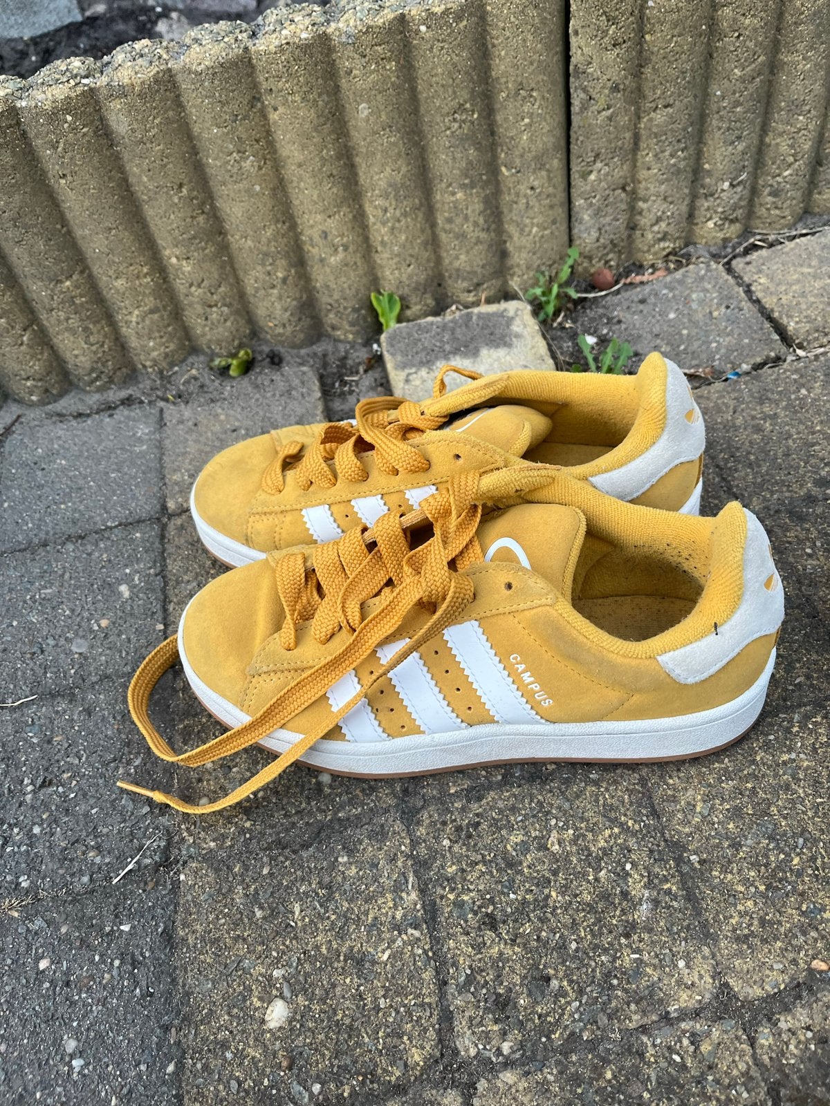 Adidas Campus sneakers - Geel - Maat 36, Geel, Ophalen of Verzenden, Sneakers of Gympen, Gedragen
