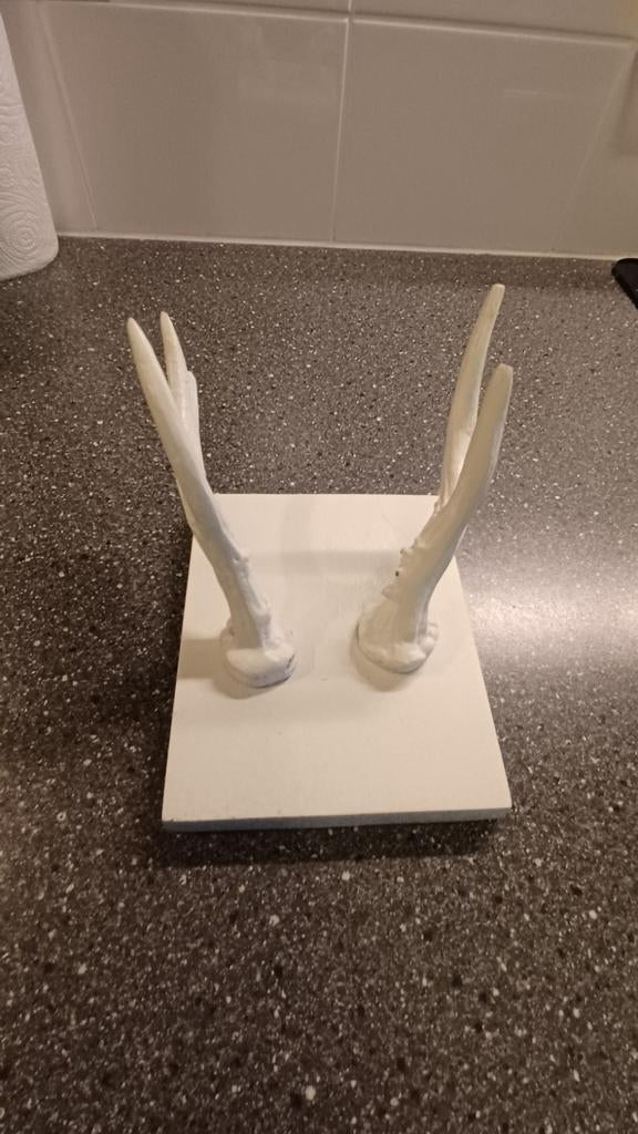 Witte kapstok met gewei-haken, Ophalen of Verzenden, Zo goed als nieuw, Metaal, Wandkapstok