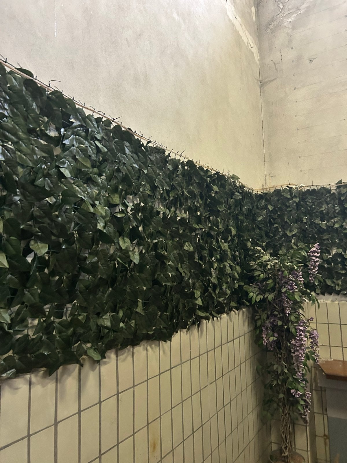 Kunsthaag - Privacyhaag kunst bloem haag klimop bladeren, Ophalen of Verzenden, Nieuw