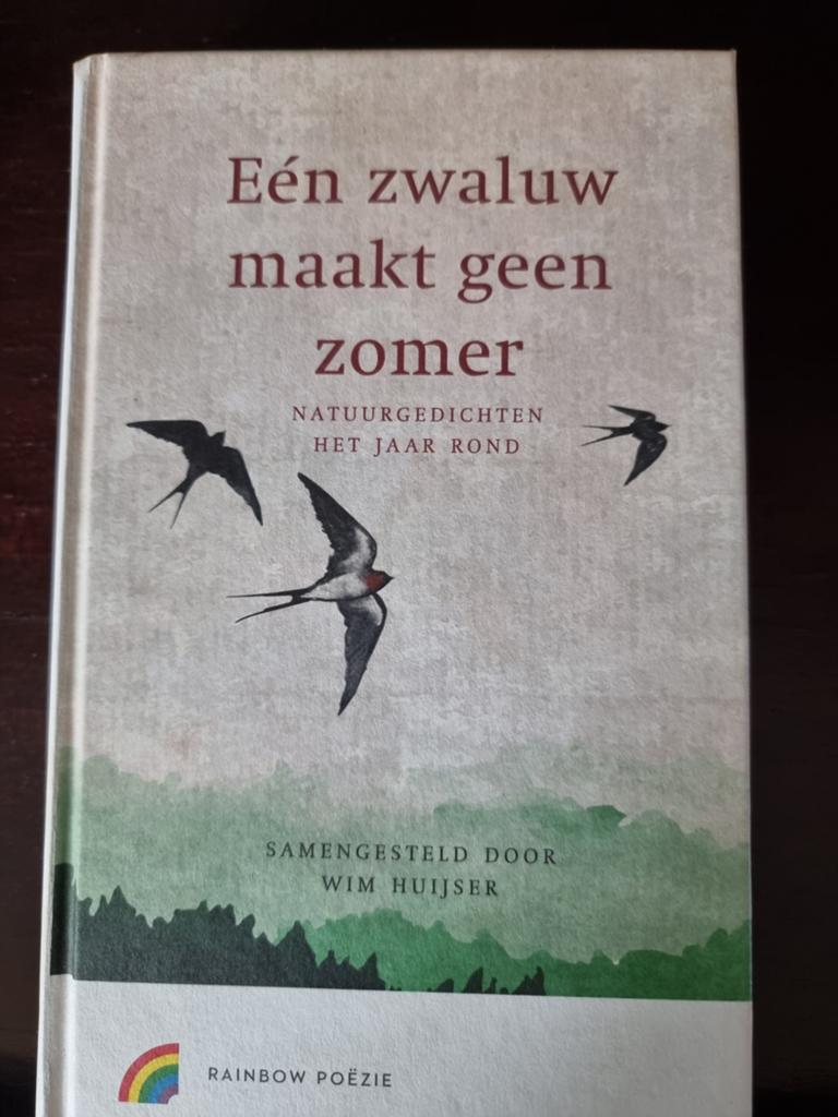 Eén zwaluw maakt geen zomer, Ophalen of Verzenden, Zo goed als nieuw