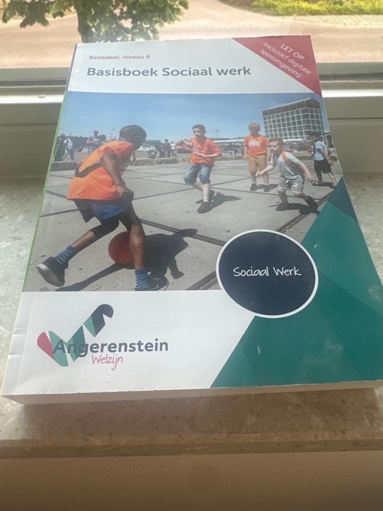 Basisboek Sociaal Werk - Niveau 4 (Angerenstein Welzijn), Boeken, Studieboeken en Cursussen, Ophalen of Verzenden, Gamma, Zo goed als nieuw