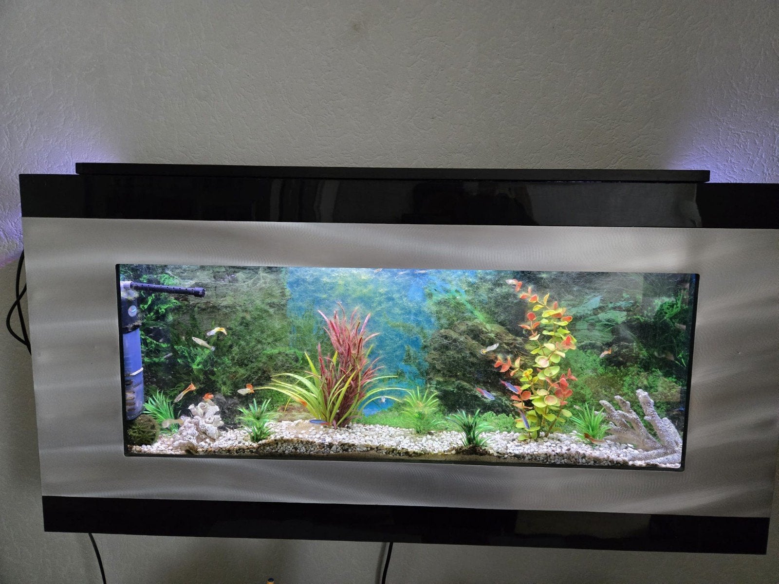 aquarium vissen bak zilver zwart, Ophalen, Leeg aquarium