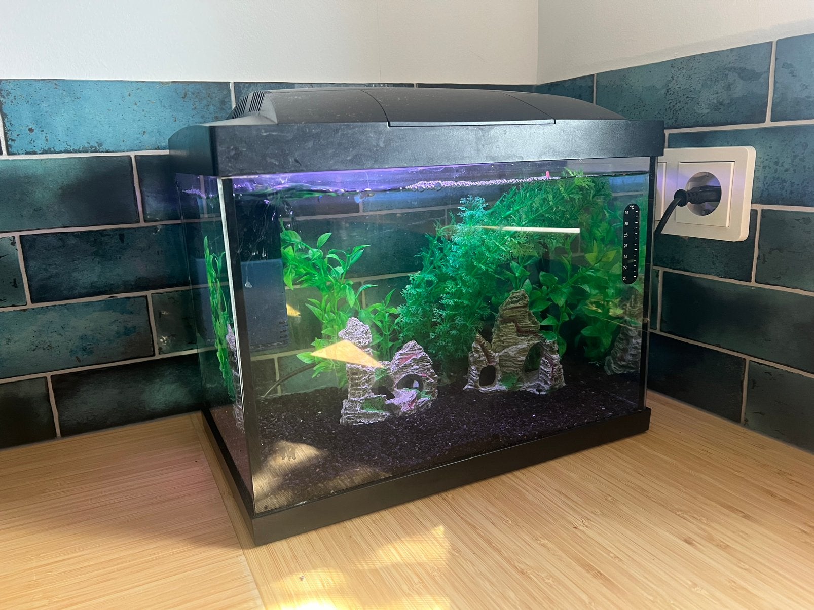 Aquarium met 2 guppen en toebehoren., Dieren en Toebehoren, Vissen | Aquaria en Toebehoren, Ophalen, Zo goed als nieuw, Gevuld zoetwateraquarium